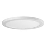 24w φ12inch Led Flush Mount 3cct Light