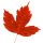 red-mapple-leaf-simplyretrofits